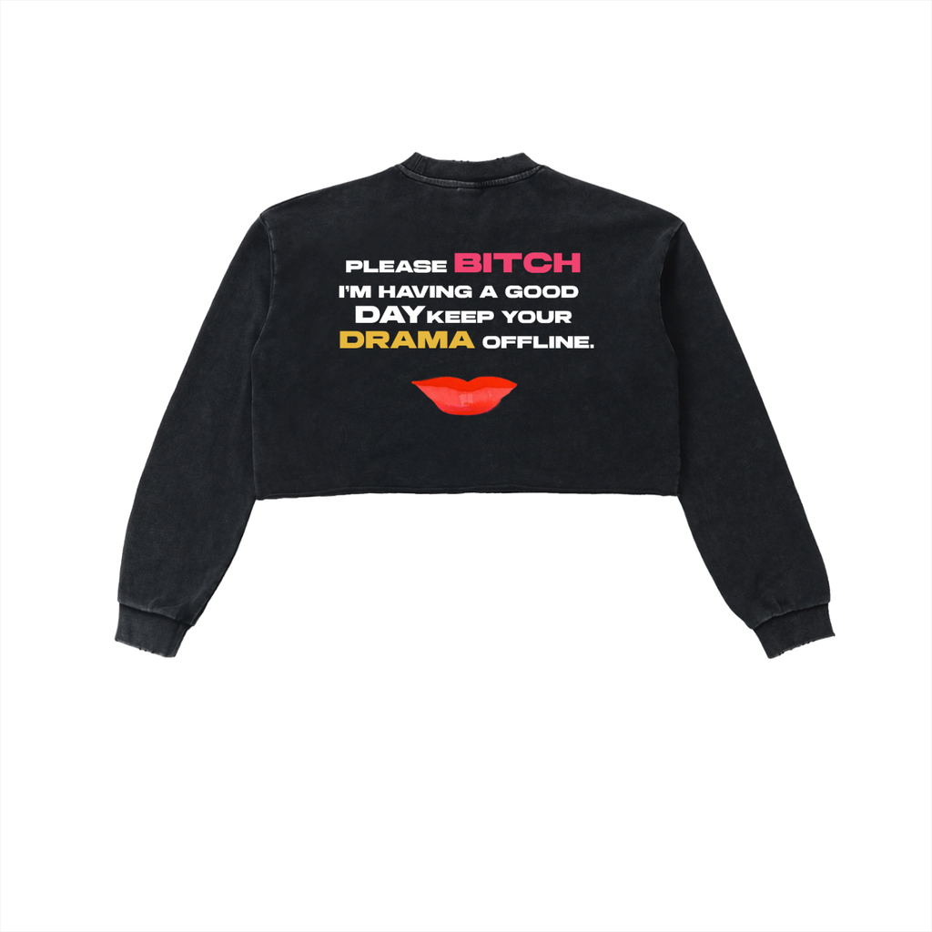 Snow Washed Raw Edge Cropped Sweatshirt